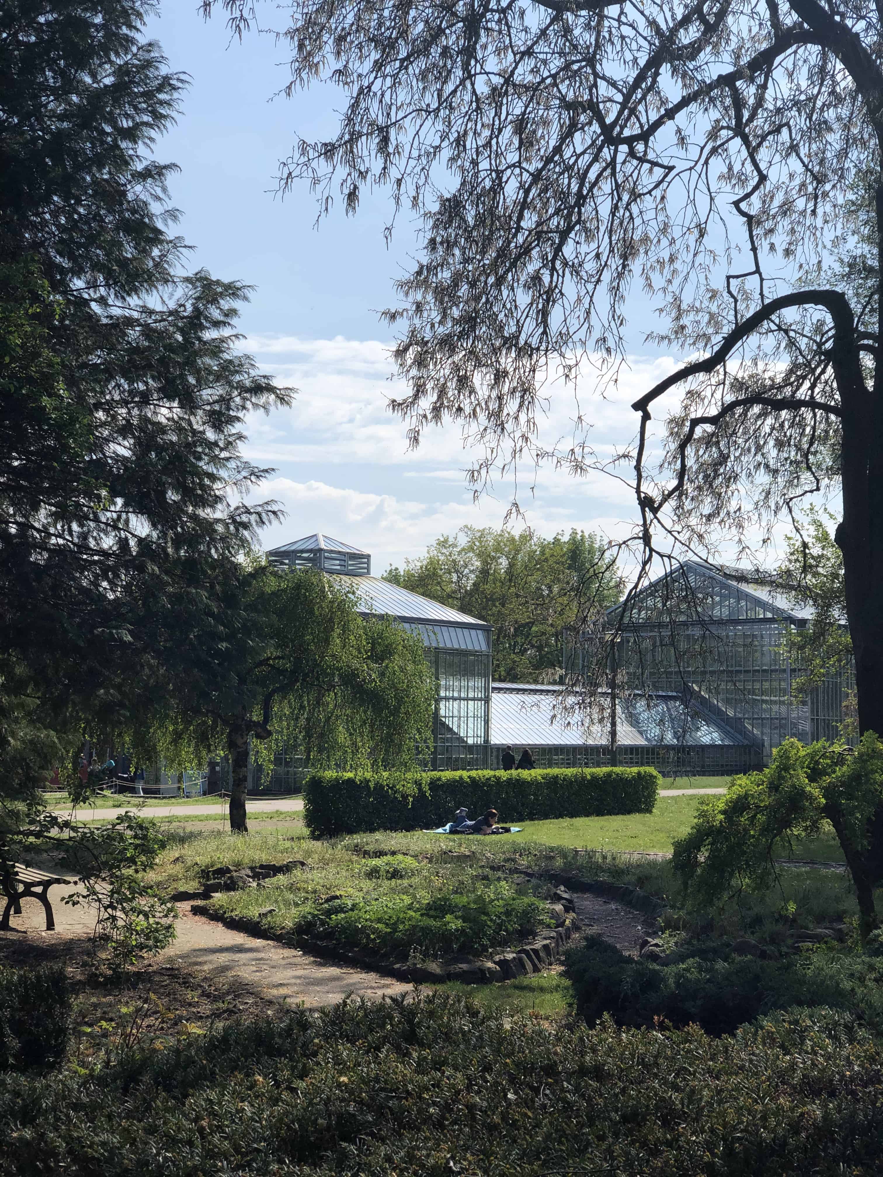 Botanischer Garten Berlin Pankow Blankenfelde martynaschmeckt
