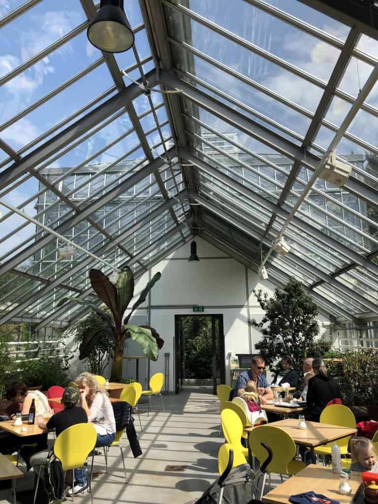 Cafe mint im Gewächshaus Botanischer Garten Berlin Pankow