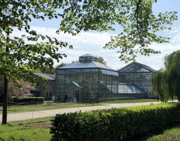 Ogrod Botaniczny Pankow Blankenfelde