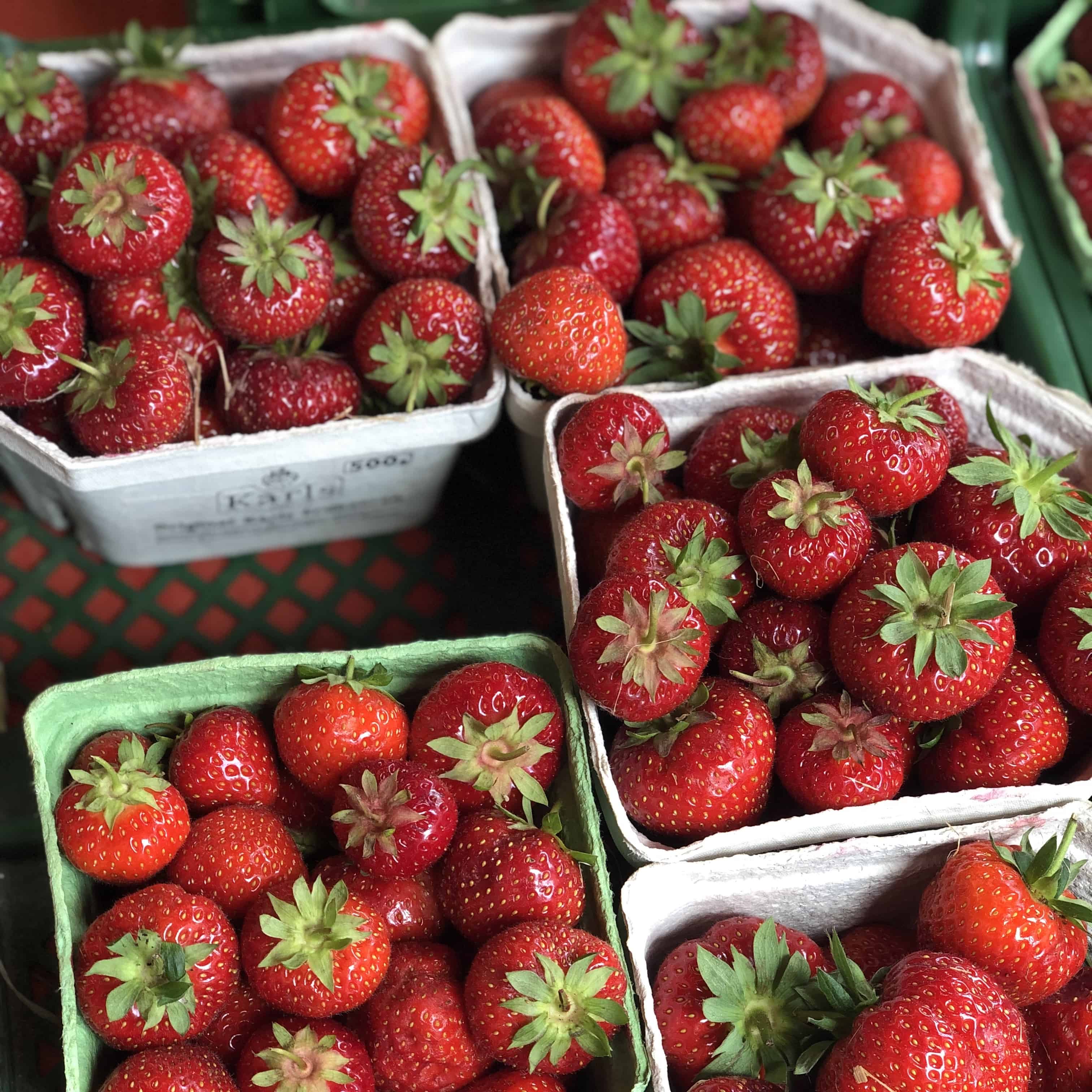 Regionale Erdbeeren aus Brandenburg