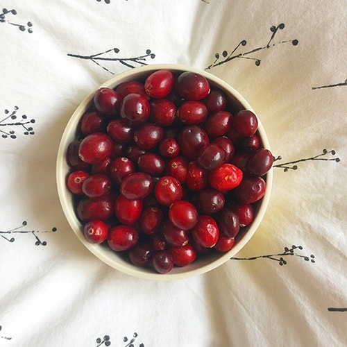 Frische Cranberries