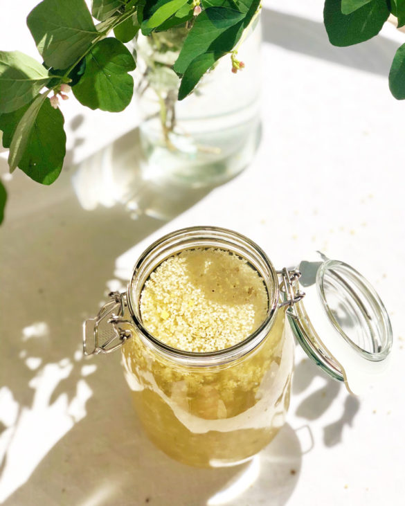 Holunderblütensirup selbstgemacht